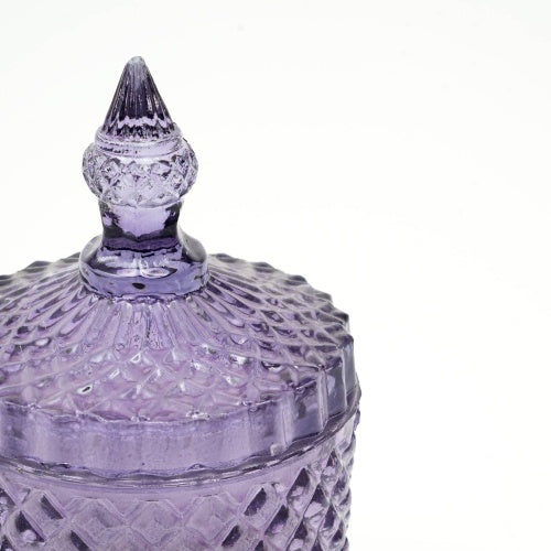 Plush Radiance Scented Wax Candle