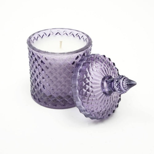 Plush Radiance Scented Wax Candle