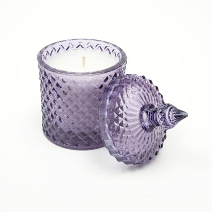 Plush Radiance Scented Wax Candle